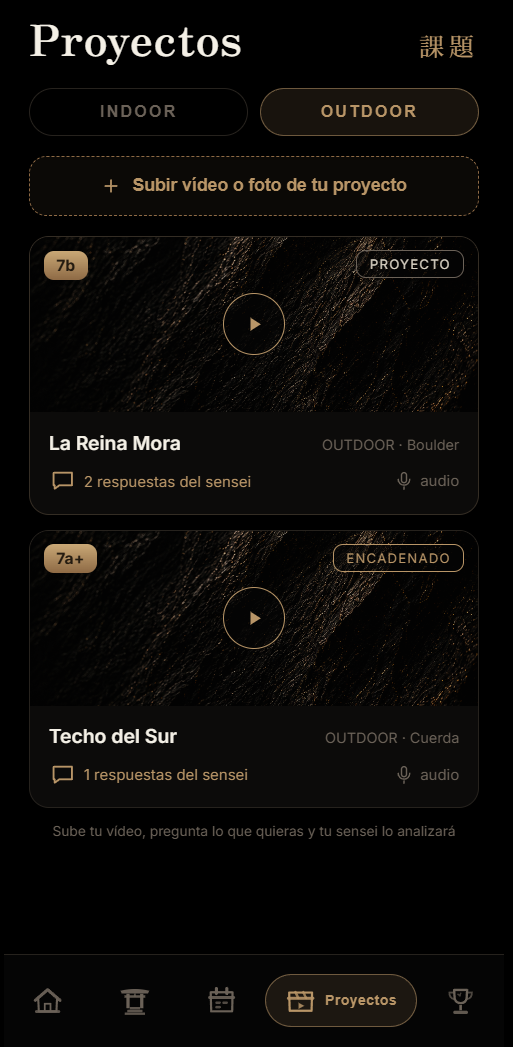 Proyectos